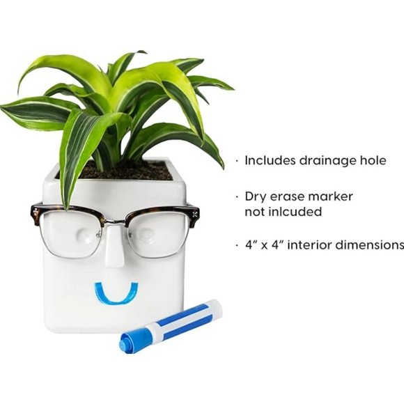 NEW Plant Flower Pot Novelty Face Planter Personality Ceramic Holder Home Decor - Picture 4 of 11